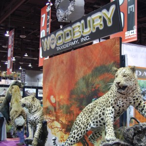 Taxidermy at Safari Club International Convention