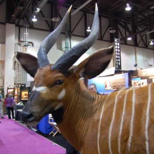 Taxidermy at Safari Club International Convention