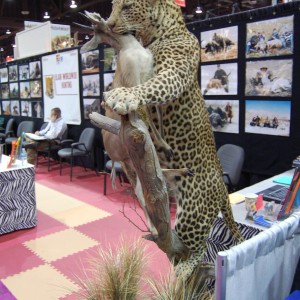 Taxidermy at Safari Club International Convention