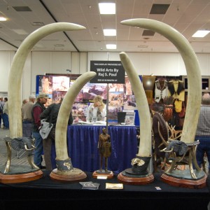 Taxidermy at Safari Club International Convention