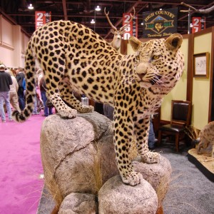 Taxidermy at Safari Club International Convention