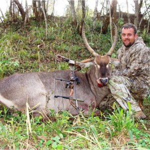 Management Waterbuck hunted with a bow