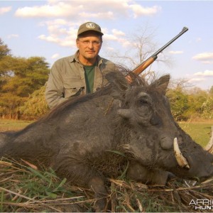 Nice Warthog from Mozambique