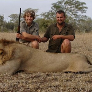 Free roaming Lion hunted in Mozambique