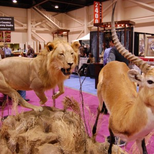 Taxidermy at Safari Club International Convention