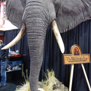 Taxidermy at Safari Club International Convention