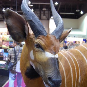 Taxidermy at Safari Club International Convention