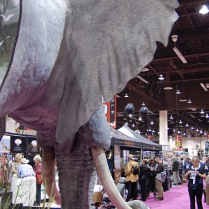 Taxidermy at Safari Club International Convention