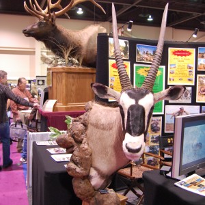 Taxidermy at Safari Club International Convention