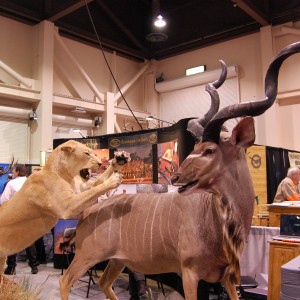 Taxidermy at Safari Club International Convention