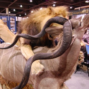 Taxidermy at Safari Club International Convention