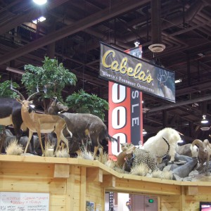 Taxidermy at Safari Club International Convention