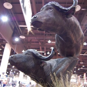 Taxidermy at Safari Club International Convention