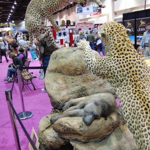 Taxidermy at Safari Club International Convention