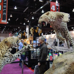 Taxidermy at Safari Club International Convention