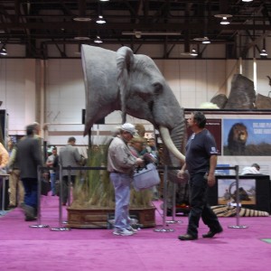 Taxidermy at Safari Club International Convention