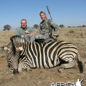 Burchell's Zebra