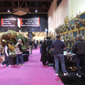 Taxidermy at Safari Club International Convention