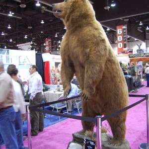 Taxidermy at Safari Club International Convention