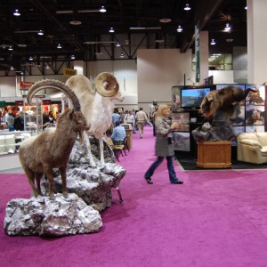 Taxidermy at Safari Club International Convention