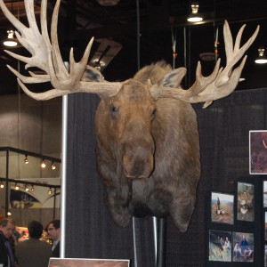 Taxidermy at Safari Club International Convention