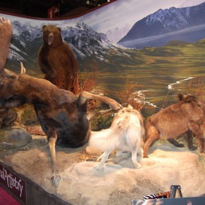 Taxidermy at Safari Club International Convention