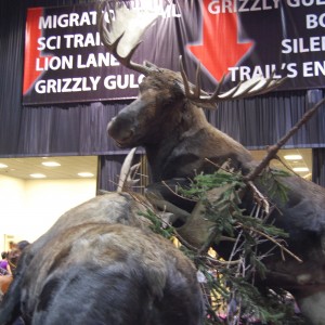 Taxidermy at Safari Club International Convention