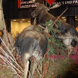 Taxidermy at Safari Club International Convention