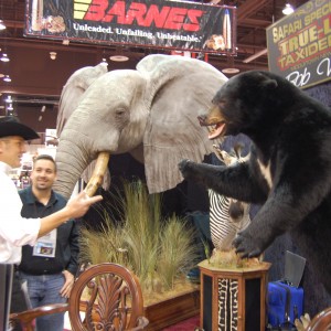 Taxidermy at Safari Club International Convention