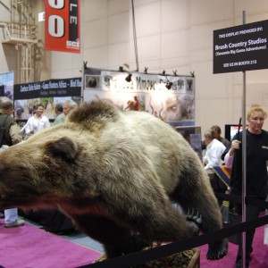 Taxidermy at Safari Club International Convention