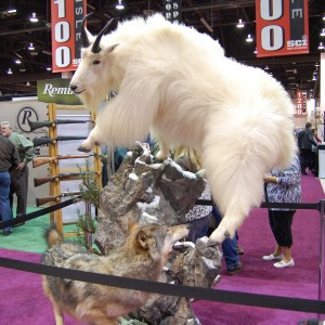 Taxidermy at Safari Club International Convention