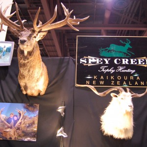 Taxidermy at Safari Club International Convention