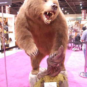 Taxidermy at Safari Club International Convention