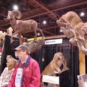 Taxidermy at Safari Club International Convention