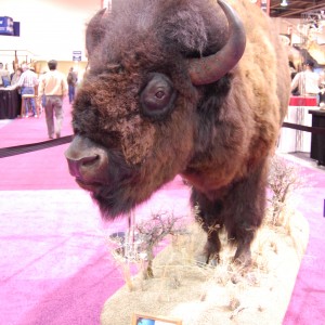 Taxidermy at Safari Club International Convention