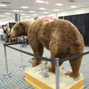 Taxidermy at Safari Club International Convention