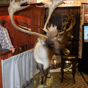 Taxidermy at Safari Club International Convention