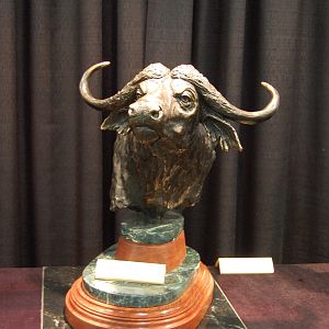 Cape Buffalo Bronze