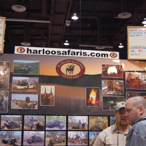 Harloo Safaris