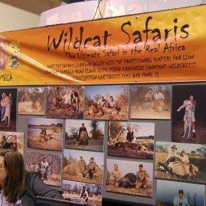 Wildcat Safaris