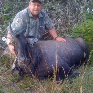 Hunting Nilgai