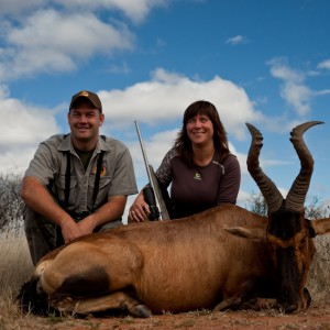 Hunting Hartebeest