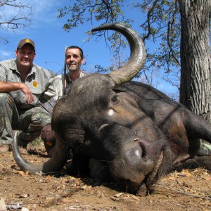 Hunting Buffalo