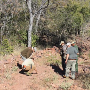 Tracking Leopard