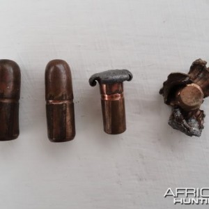 Australian Woodleigh FMJ Bullets