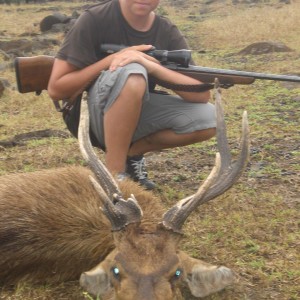 My son's atypical Rusa Deer which is what he was looking for