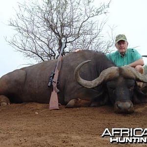 Buffalo hunting in South-Africa