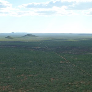 Hunting Ozondjahe in Namibia