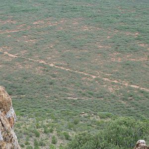 Hunting at Ozondjahe in Namibia