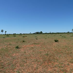 Hunting at Ozondjahe in Namibia